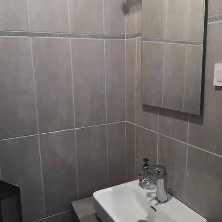 Veziu Apartamentai 2-ame Kotedzo Aukste Apartment Palanga